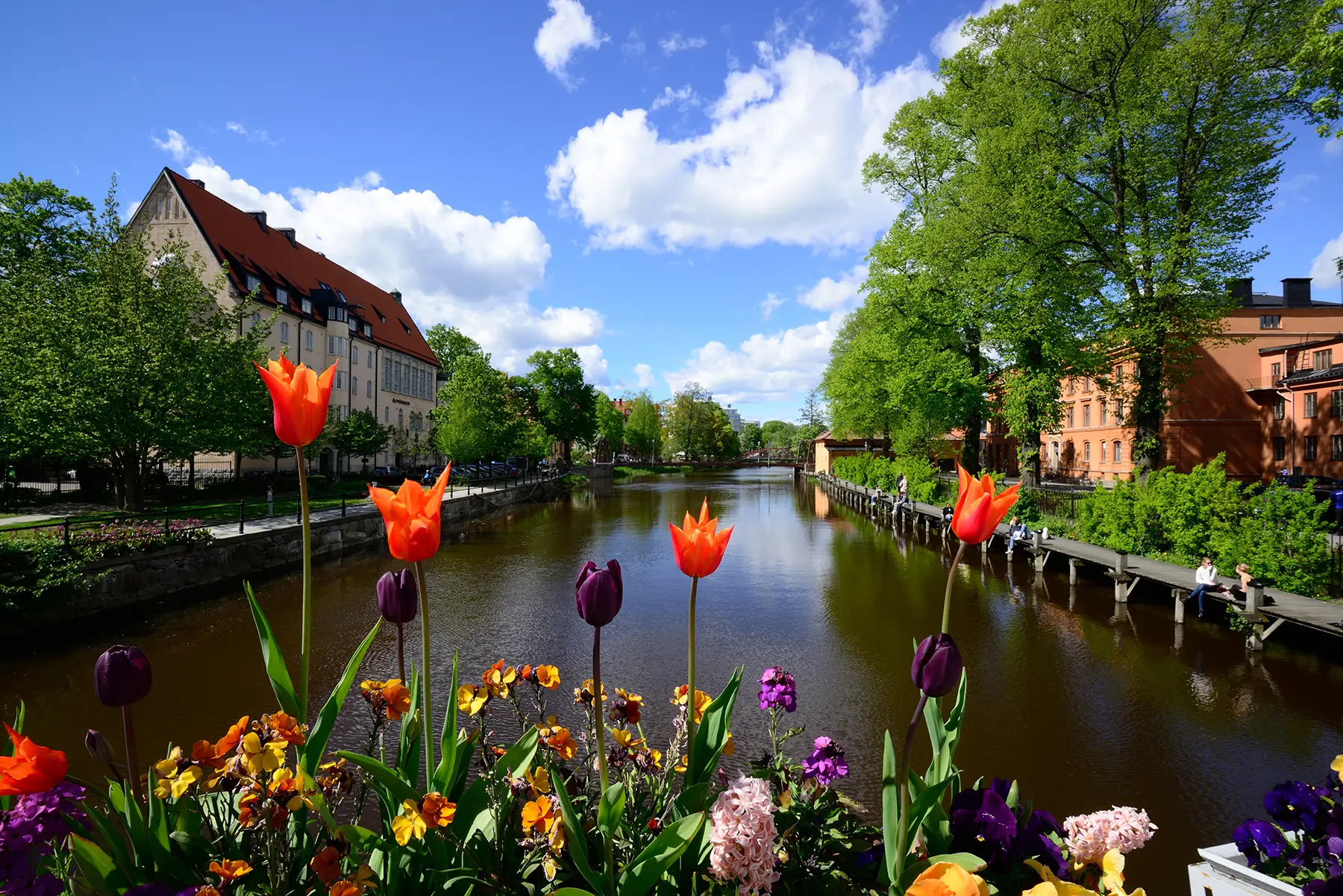 Översikt över en å i Uppsala